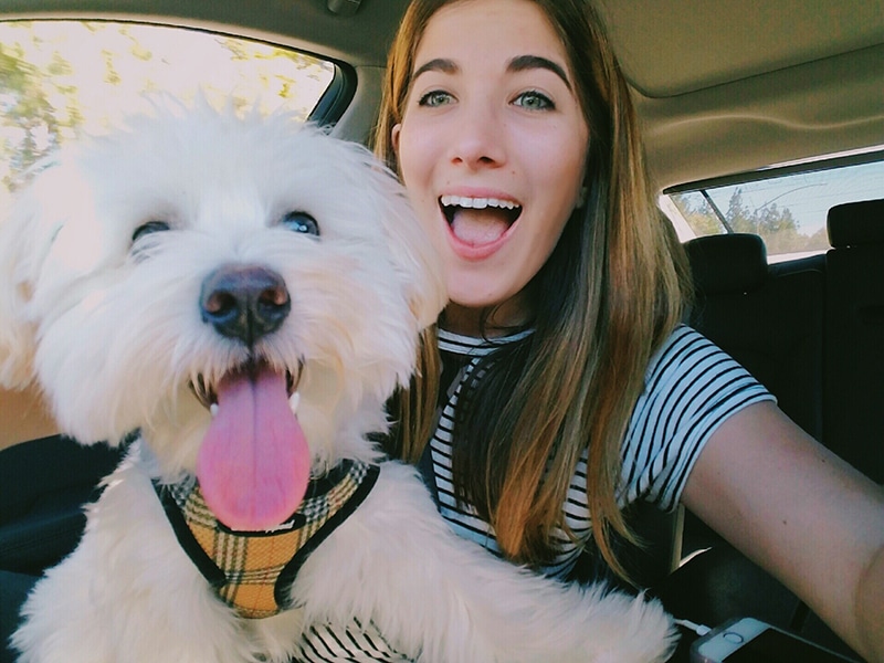 woman and her white terrier is taking a selfie in the car after buying a new dog car bed