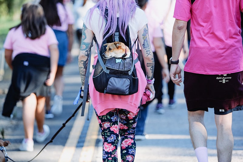 a woman carrying her small dog in a backpack carrier