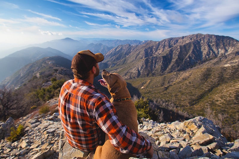 dog and his owner is enjoying the view together while wearing a gps tracker