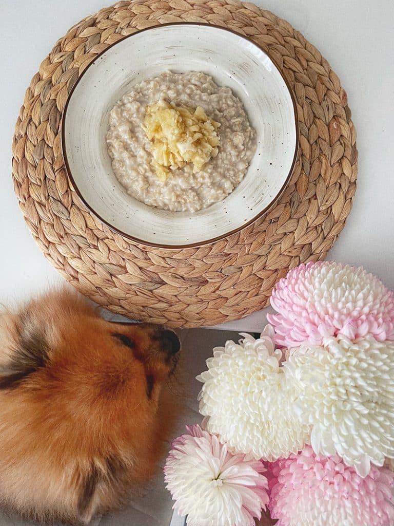 dog is given a oatmeal by his owner