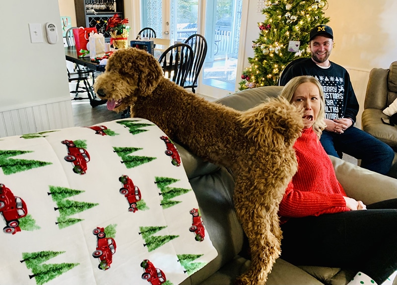 dog owner is smelling her dogs anal glands