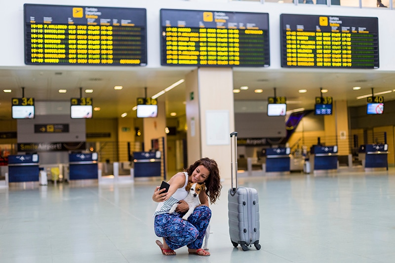 Jack Russell and his woman owner is taking a selfie before a flight