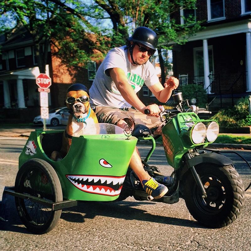 Pitbull is riding with his owner on a green motorcycle in a dog seat