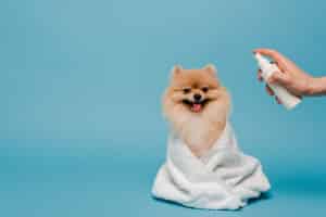 does dry waterless shampoo for dogs work