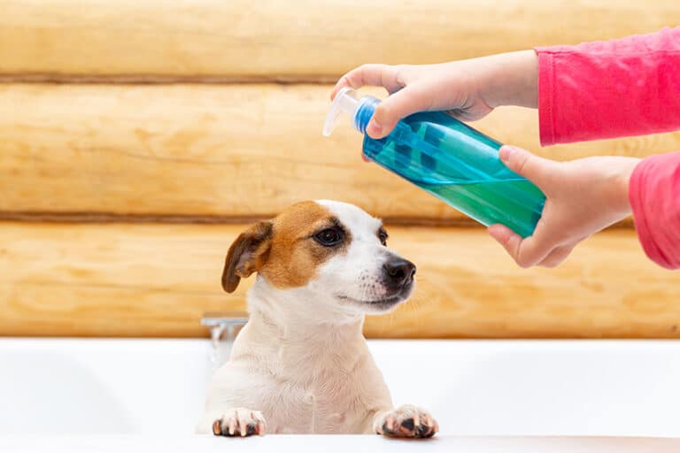 safe alternatives to dog shampoo