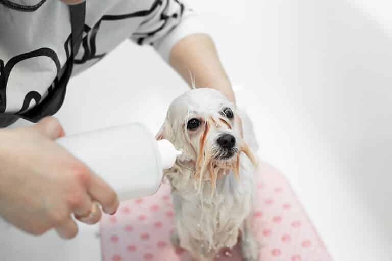what is hypoallergenic dog shampoo