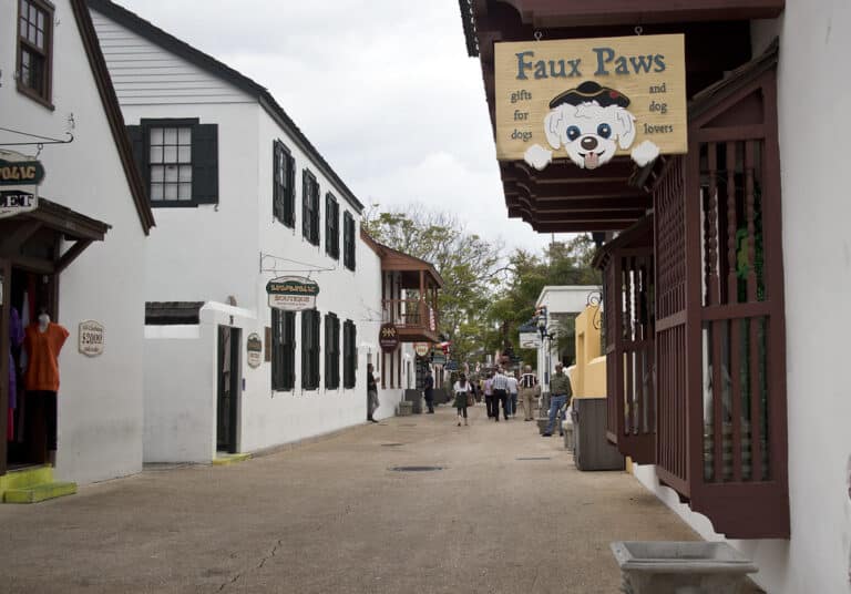 15 Fun things to do with your dog in St Augustine