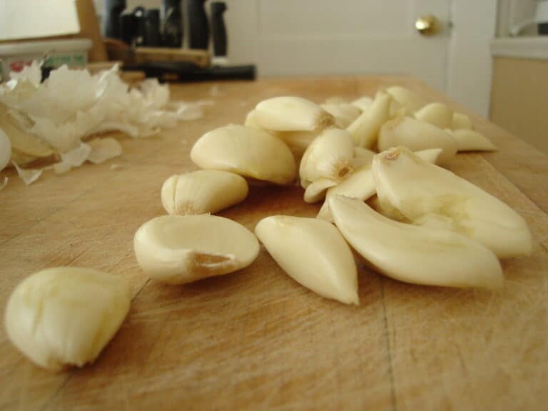 My dog ate Garlic and seems fine. What should I do?