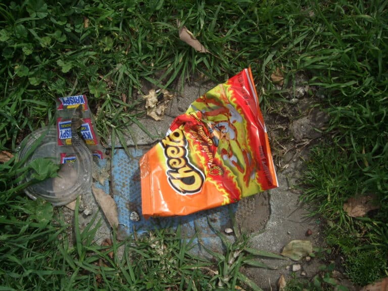 My dog ate Hot Cheetos. What Do I do?