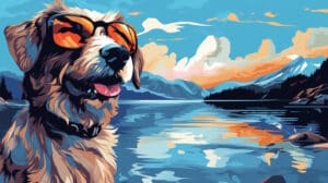 dog is feeling happy in south lake tahoe