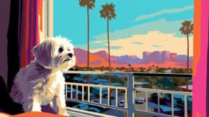 dog is feeling happy at palm springs California dog friendly hotel