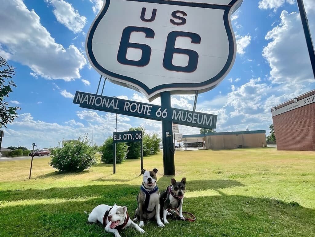dogs are posing in national route 66 museum in a dog friendly vacation in oklahoma