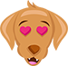 dog happy dog happy