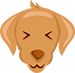 dog im frustrated dog im frustrated
