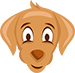 dog its depends dog its depends