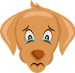 dog sad dog sad
