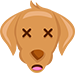 dog stop it i hate it dog stop it i hate it
